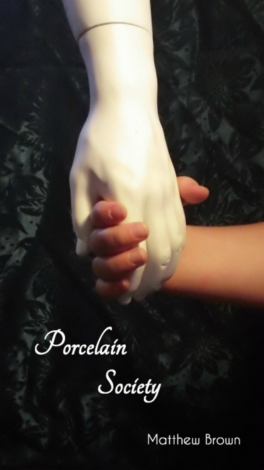 Porcelain Society Book Cover